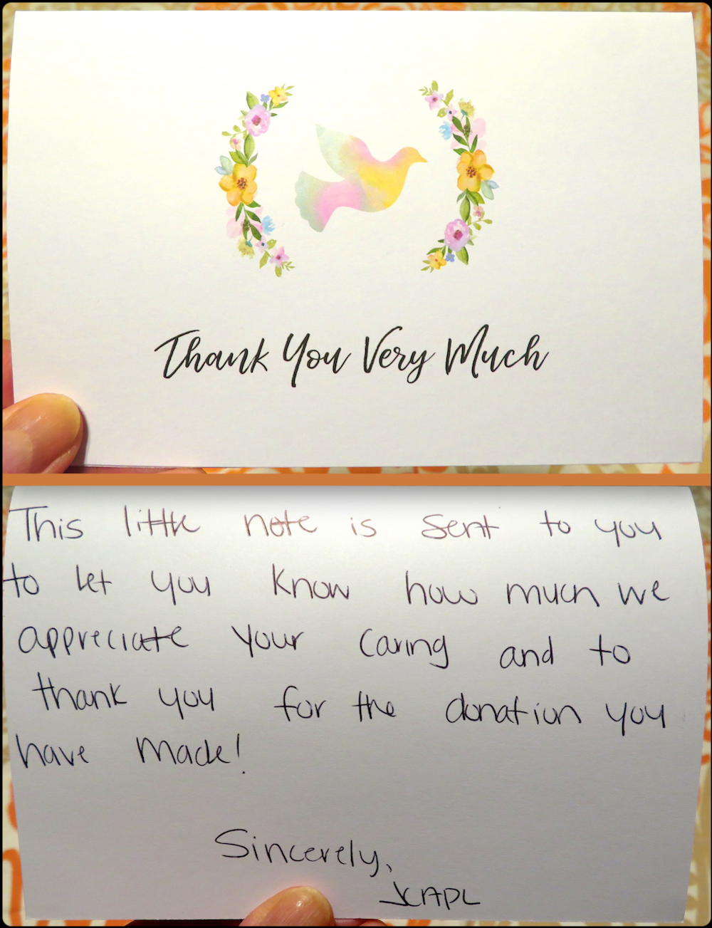 Here's a really sweet card we got from the Johnston County Animal Protection League (JCAPL) for donating 20% of our Pay It FURward concert proceeds to them.